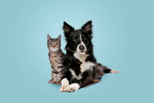 istockphoto-1306543850-612x612-659ef80c3a8db771015578.jpg
